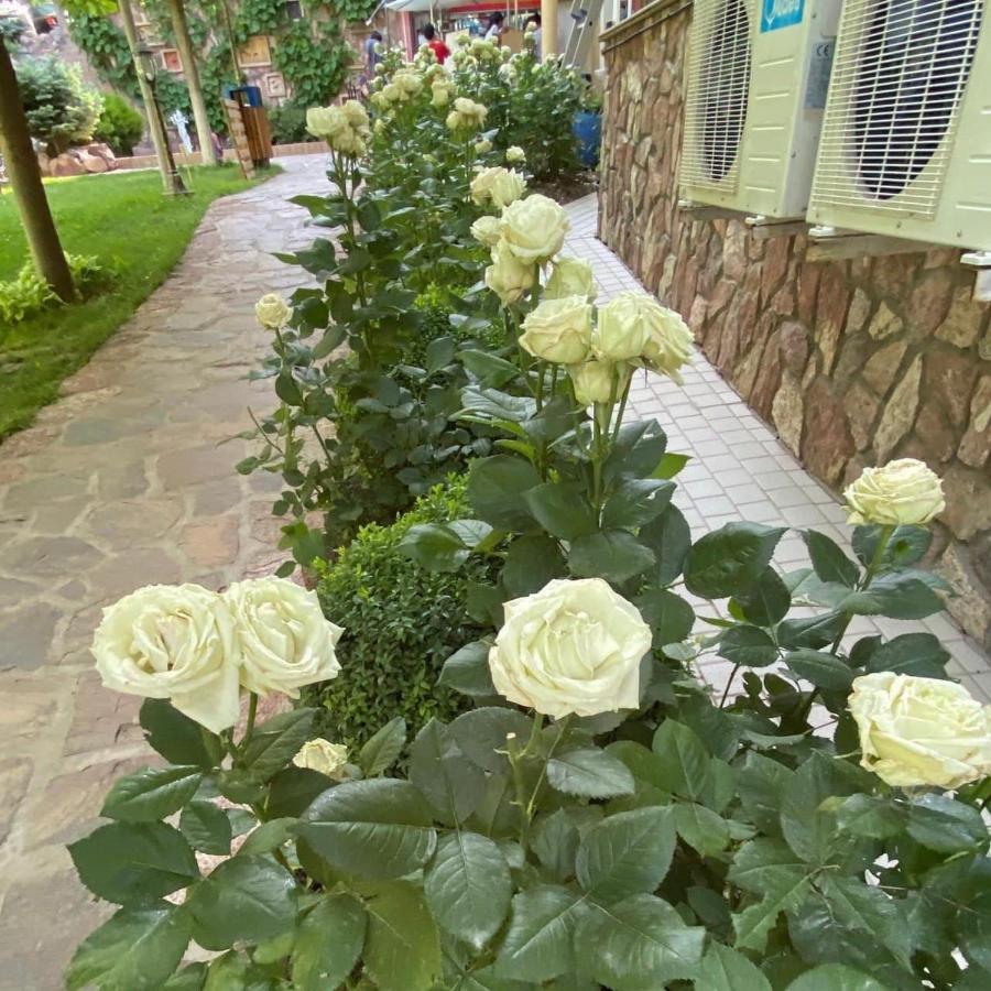 Green Canyon Uzbekistan Yusufkhona Екстер'єр фото